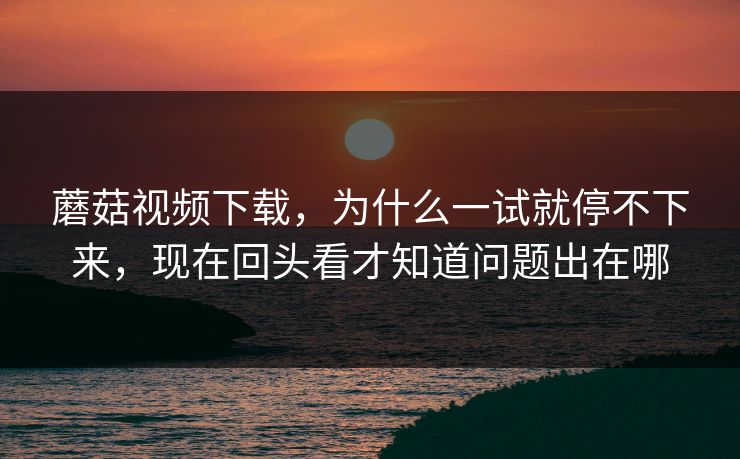 蘑菇视频下载，为什么一试就停不下来，现在回头看才知道问题出在哪