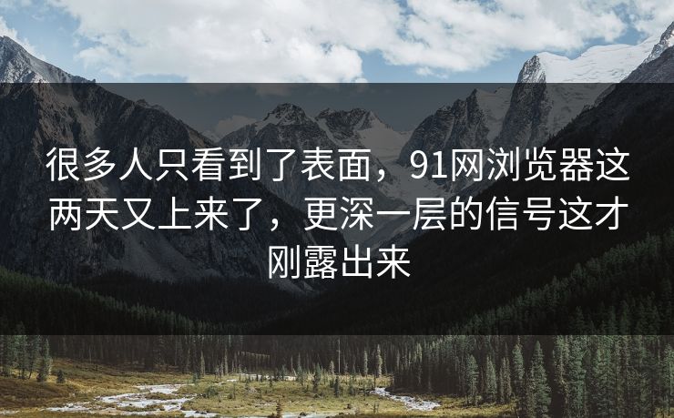 很多人只看到了表面，91网浏览器这两天又上来了，更深一层的信号这才刚露出来