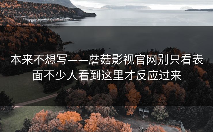 本来不想写——蘑菇影视官网别只看表面不少人看到这里才反应过来