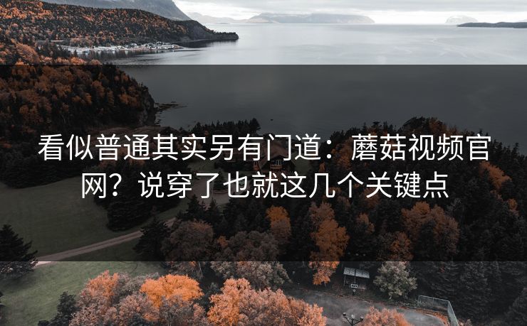 看似普通其实另有门道：蘑菇视频官网？说穿了也就这几个关键点