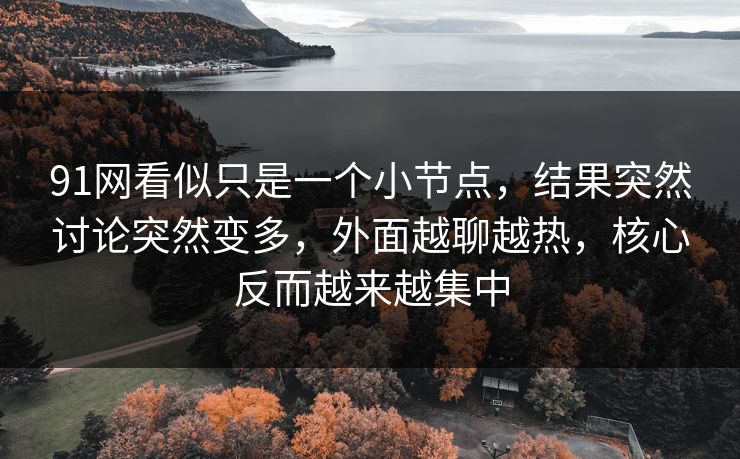 91网看似只是一个小节点，结果突然讨论突然变多，外面越聊越热，核心反而越来越集中