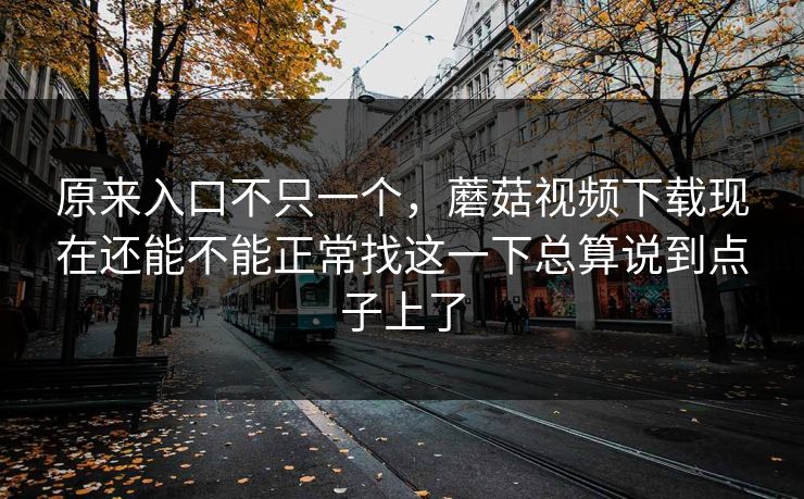 原来入口不只一个，蘑菇视频下载现在还能不能正常找这一下总算说到点子上了