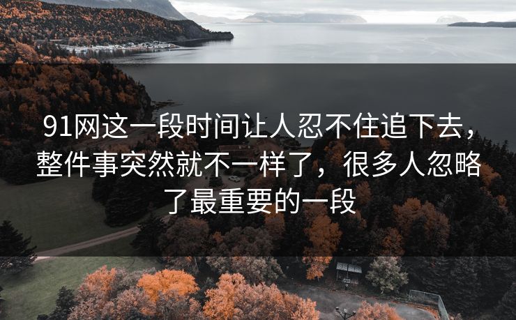 91网这一段时间让人忍不住追下去，整件事突然就不一样了，很多人忽略了最重要的一段