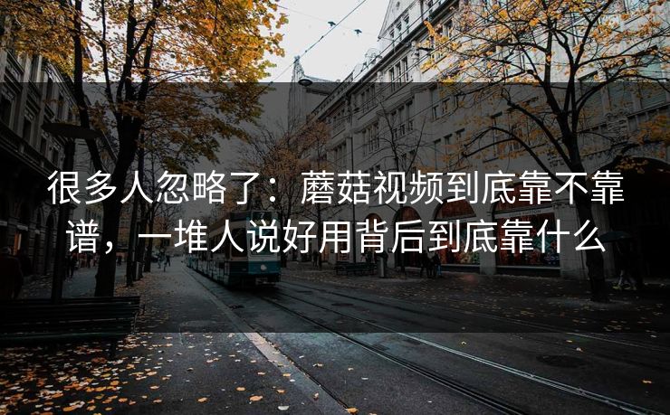 很多人忽略了：蘑菇视频到底靠不靠谱，一堆人说好用背后到底靠什么