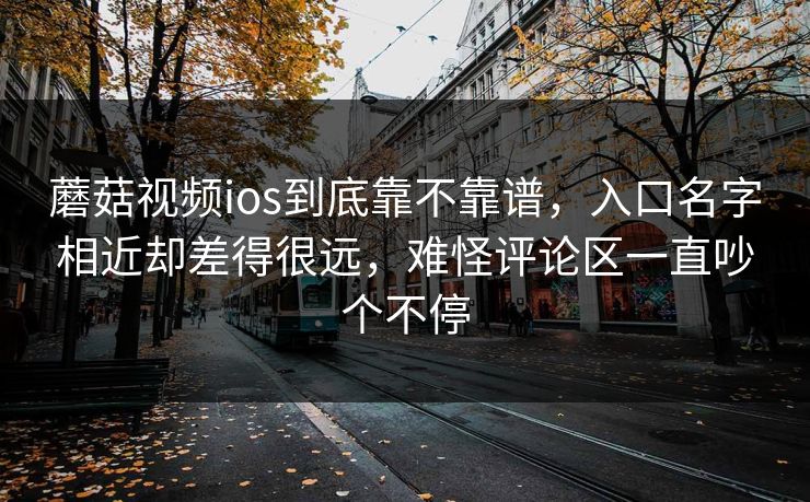 蘑菇视频ios到底靠不靠谱，入口名字相近却差得很远，难怪评论区一直吵个不停