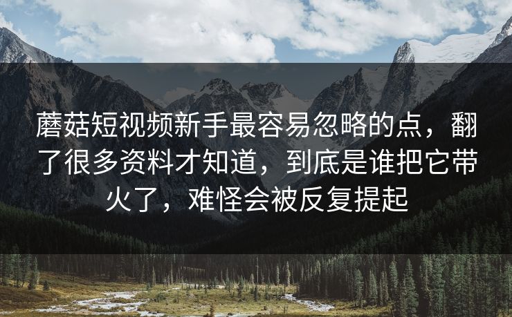 蘑菇短视频新手最容易忽略的点，翻了很多资料才知道，到底是谁把它带火了，难怪会被反复提起