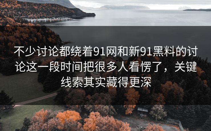 不少讨论都绕着91网和新91黑料的讨论这一段时间把很多人看愣了，关键线索其实藏得更深