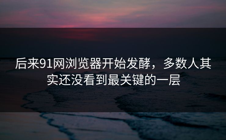 后来91网浏览器开始发酵，多数人其实还没看到最关键的一层