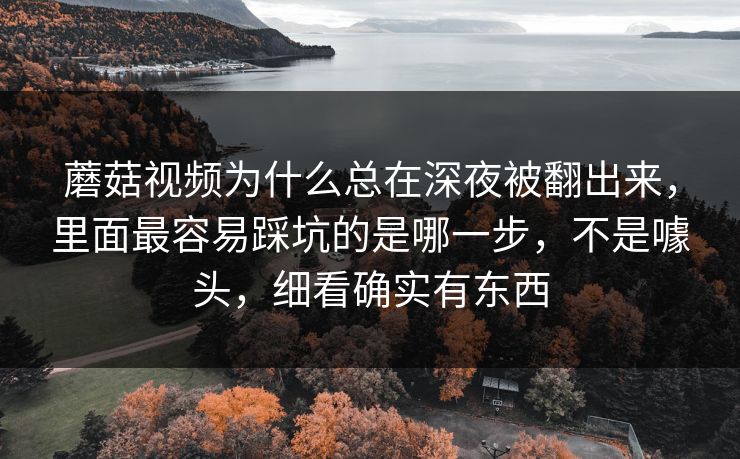 蘑菇视频为什么总在深夜被翻出来，里面最容易踩坑的是哪一步，不是噱头，细看确实有东西