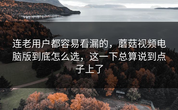 连老用户都容易看漏的，蘑菇视频电脑版到底怎么选，这一下总算说到点子上了