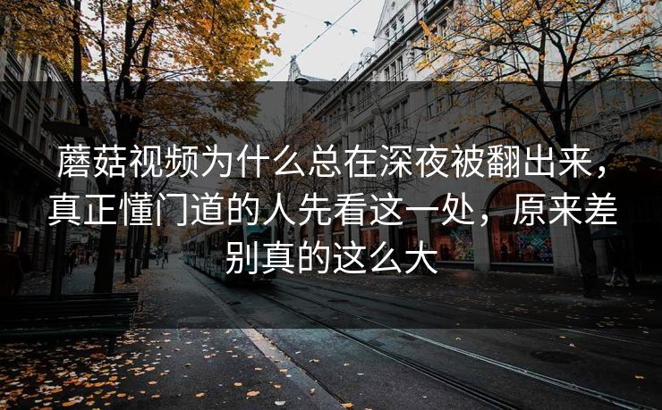 蘑菇视频为什么总在深夜被翻出来，真正懂门道的人先看这一处，原来差别真的这么大
