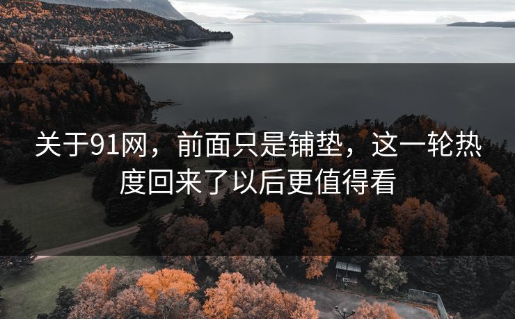 关于91网,前面只是铺垫,这一轮热度回来了以后更值得看 关于91网,前面只是铺垫,这一轮热度回来了以后更值得看